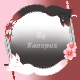 rknsz47oc2